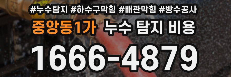 중앙동1가 누수 탐지 비용