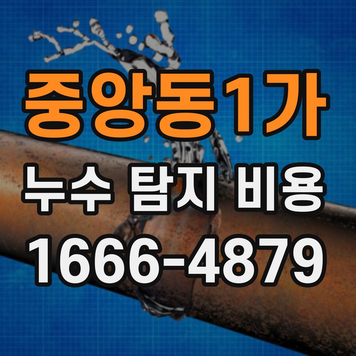 중앙동1가 누수 탐지 비용