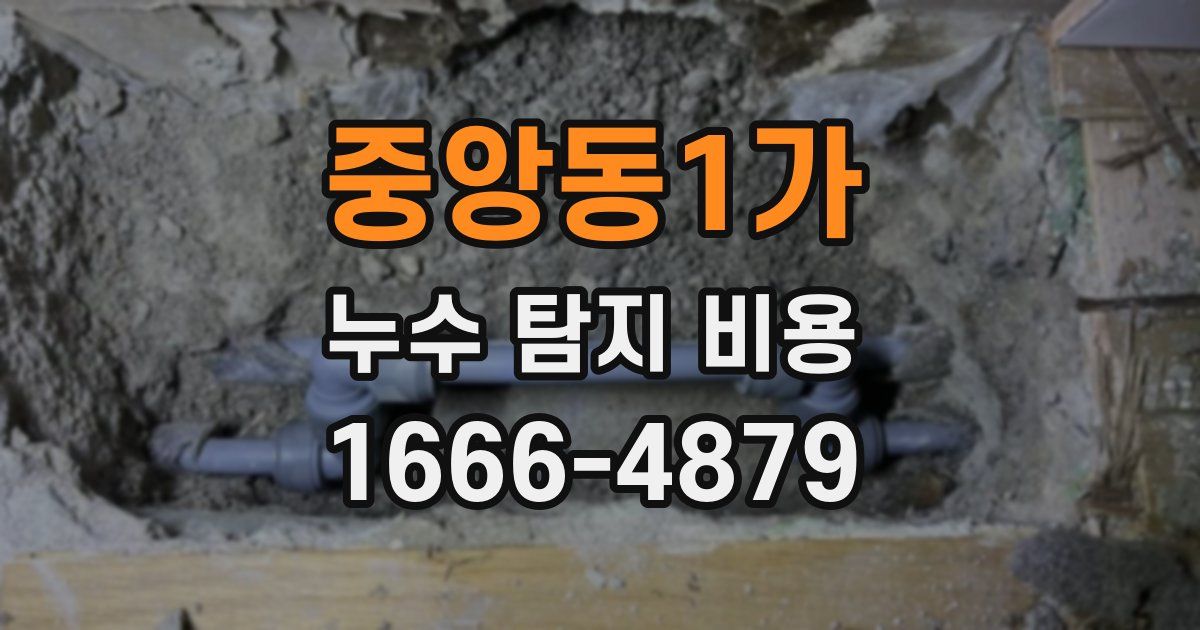 중앙동1가 누수 탐지 비용
