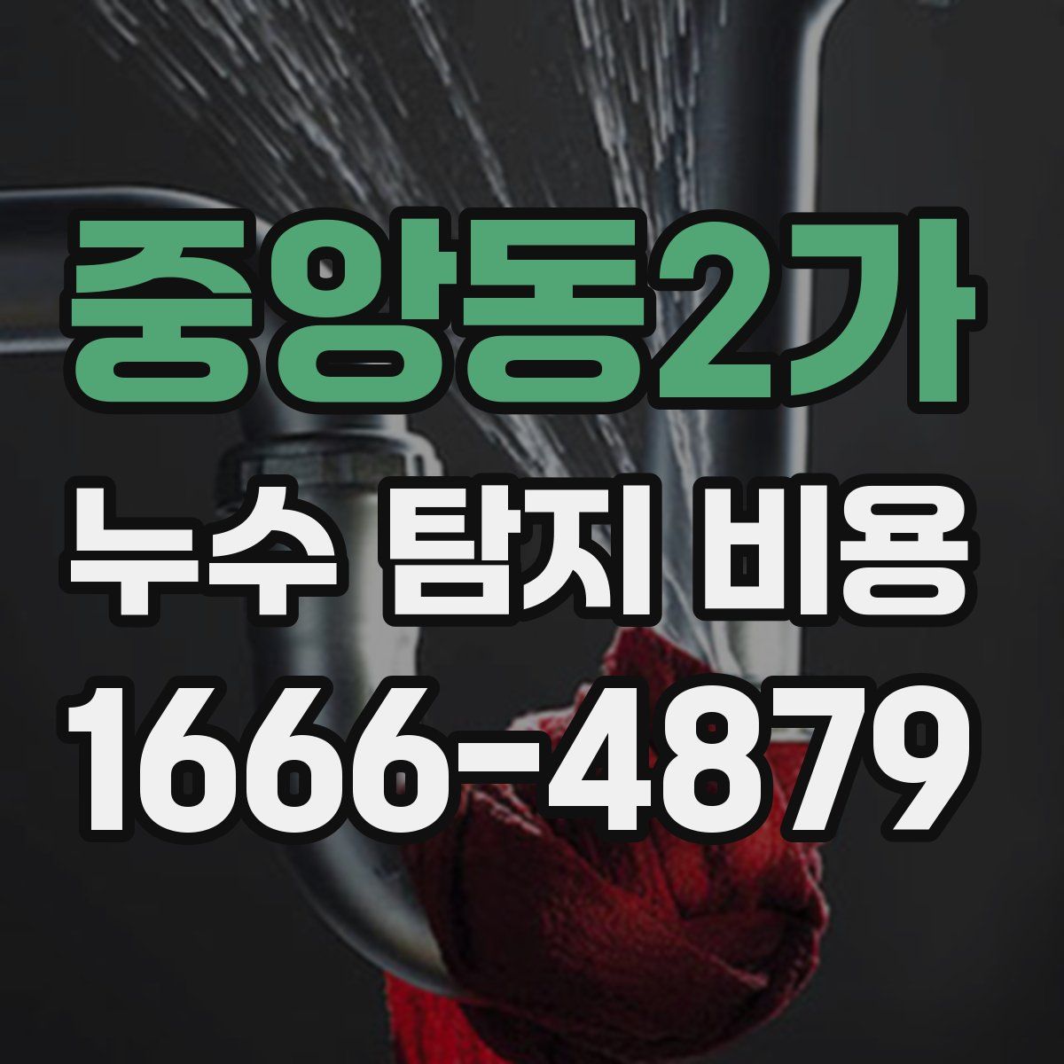 중앙동2가 누수 탐지 비용