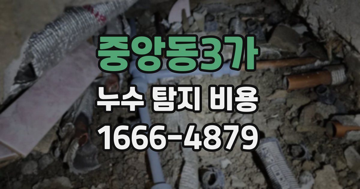 중앙동3가 누수 탐지 비용