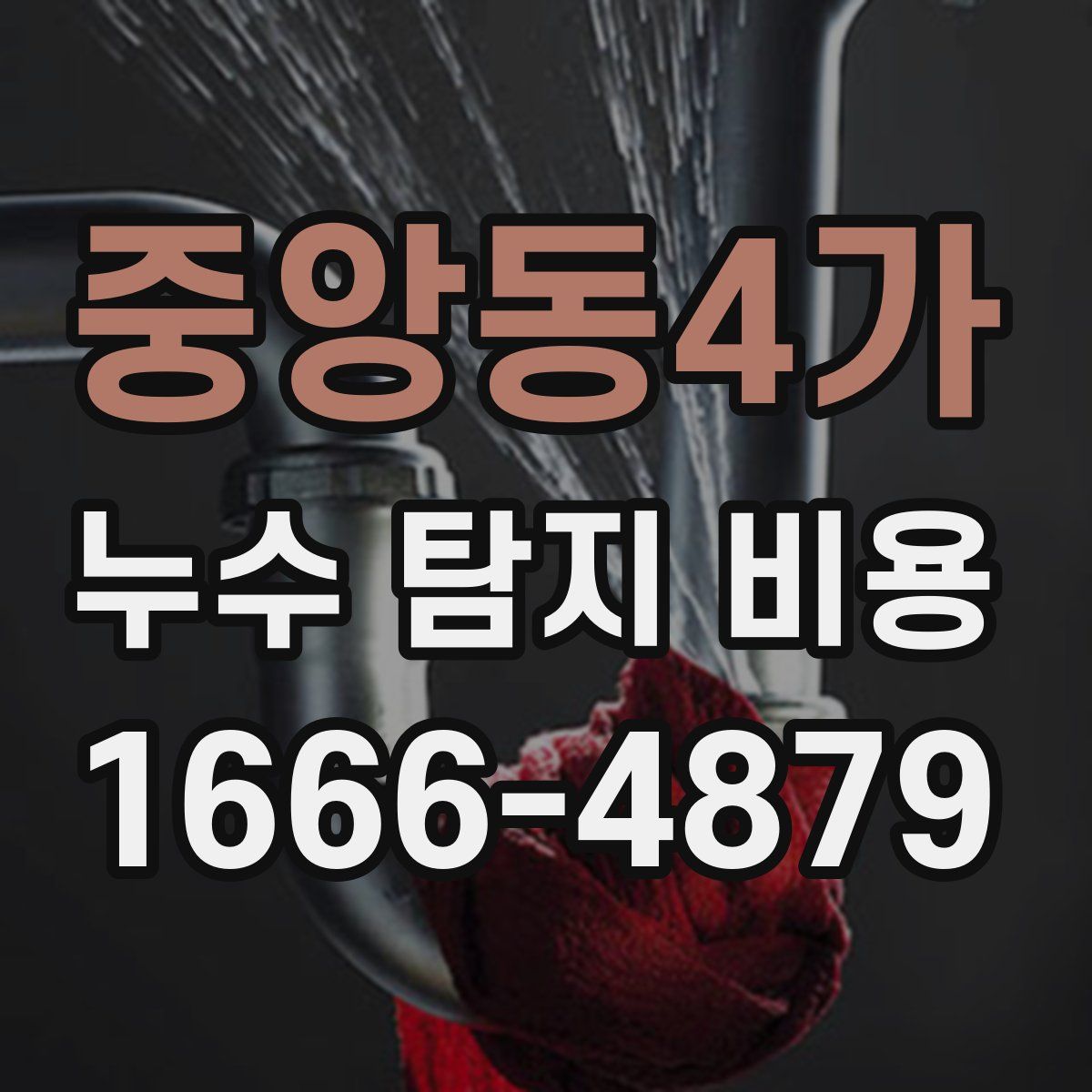 중앙동4가 누수 탐지 비용
