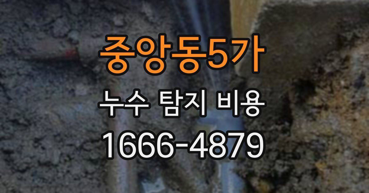 중앙동5가 누수 탐지 비용