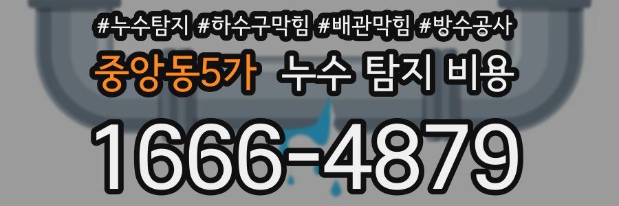 중앙동5가 누수 탐지 비용