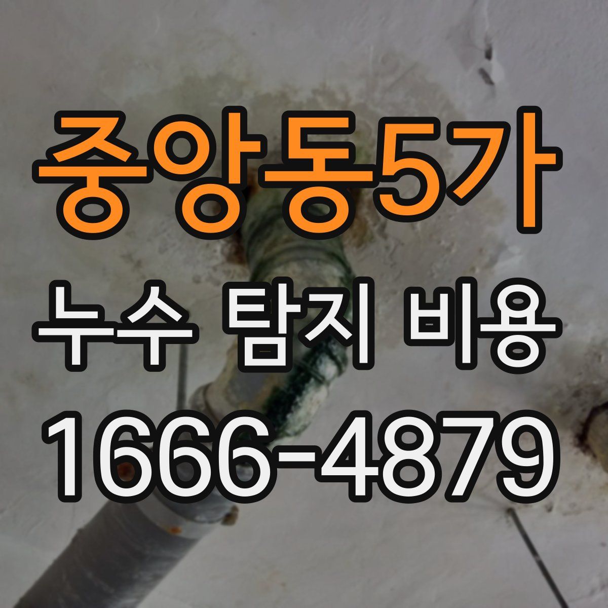 중앙동5가 누수 탐지 비용