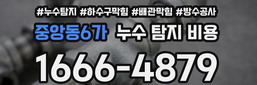 중앙동6가 누수 탐지 비용