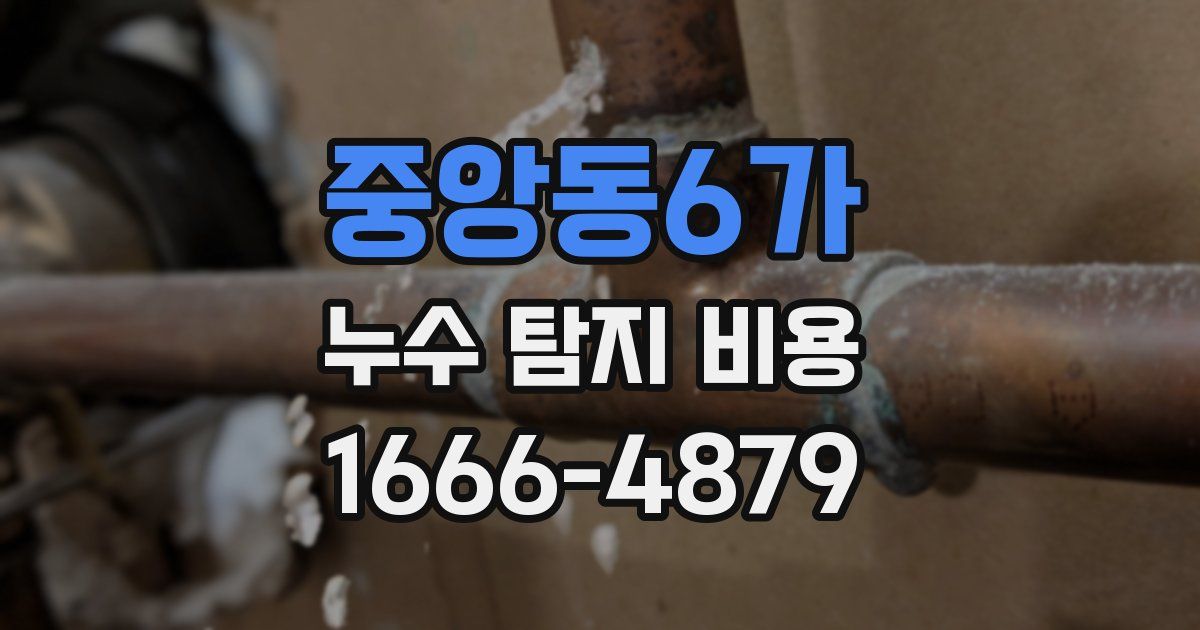 중앙동6가 누수 탐지 비용