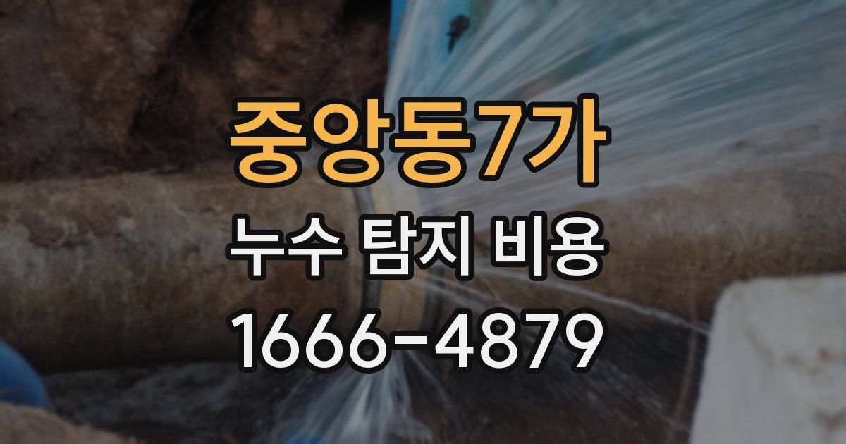 중앙동7가 누수 탐지 비용