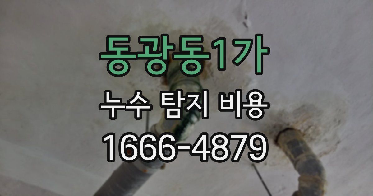 동광동1가 누수 탐지 비용