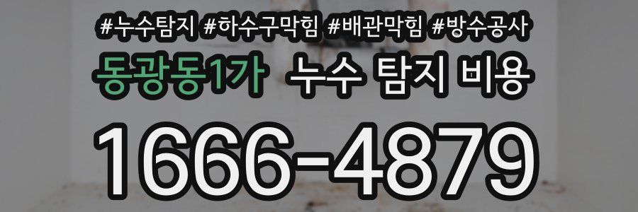 동광동1가 누수 탐지 비용