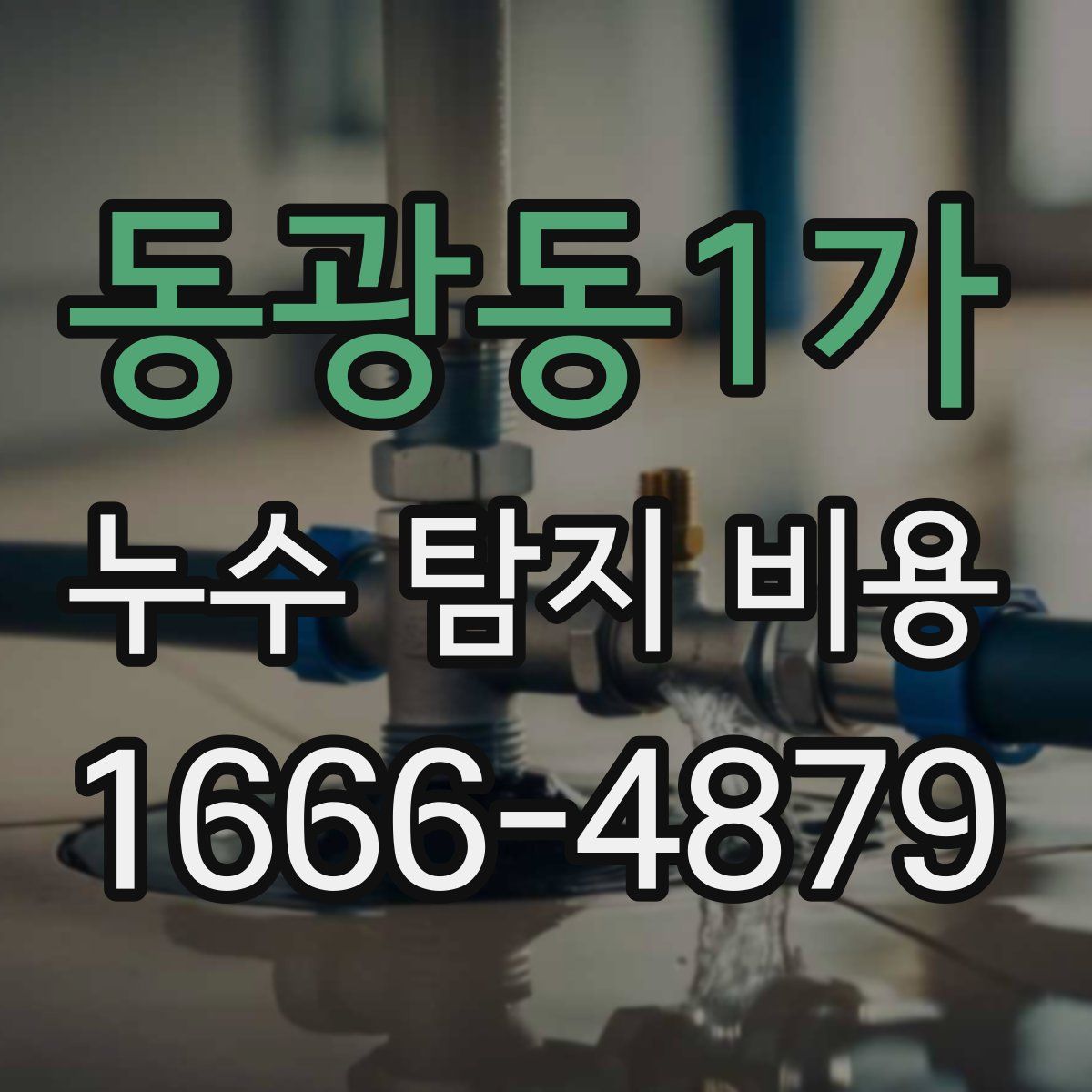 동광동1가 누수 탐지 비용