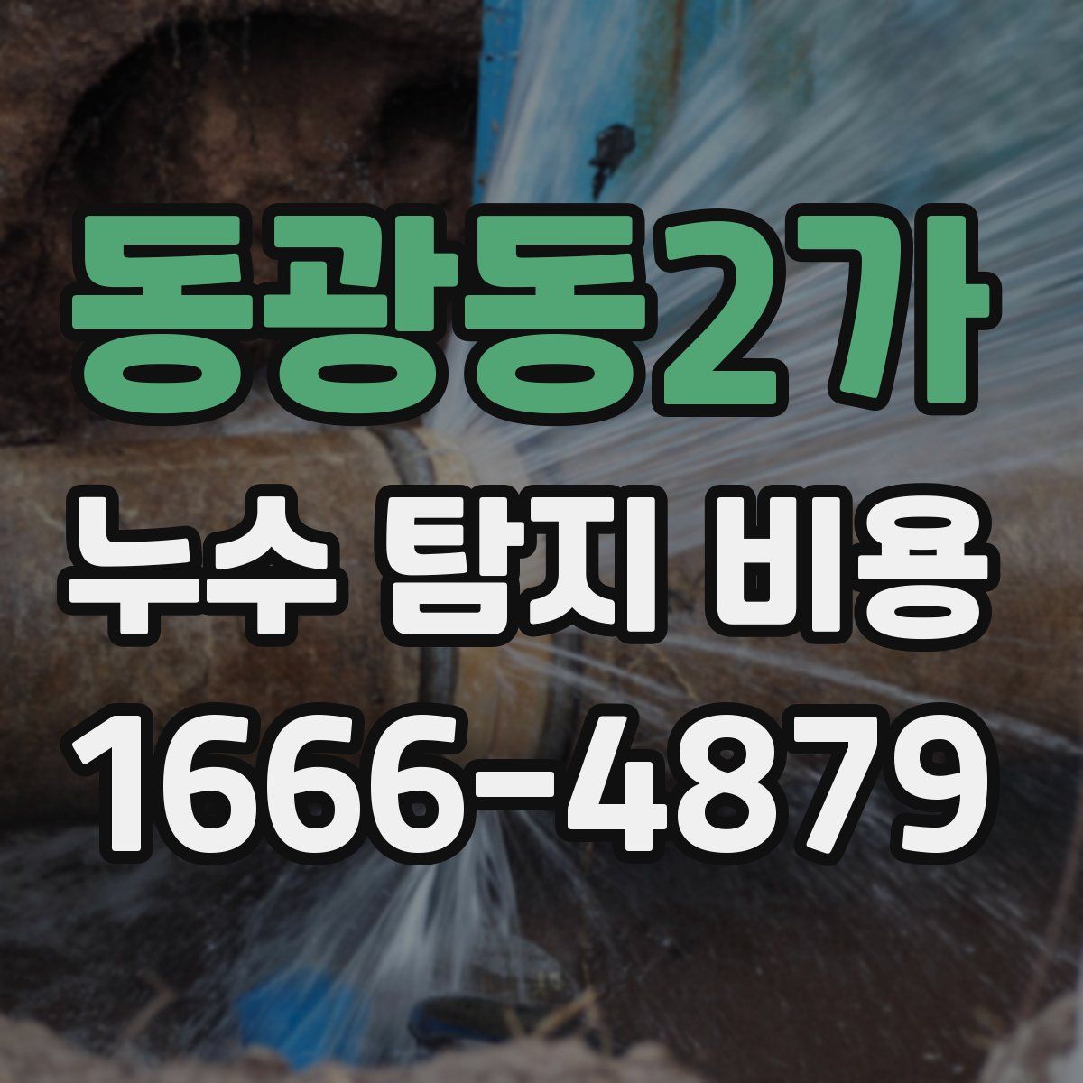 동광동2가 누수 탐지 비용