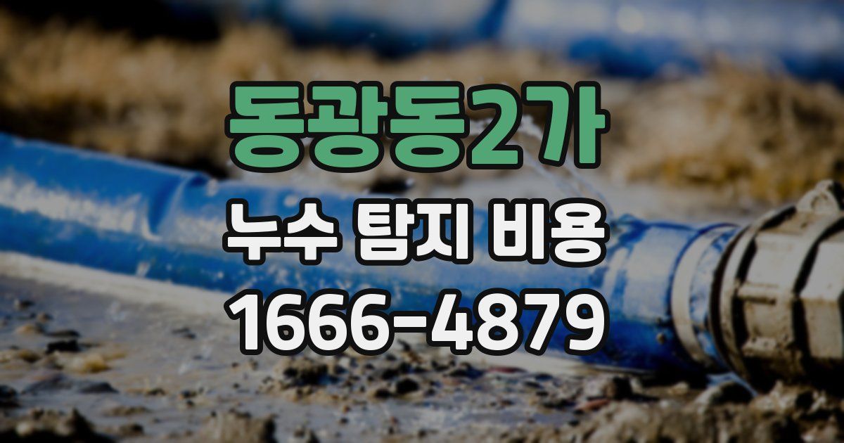 동광동2가 누수 탐지 비용