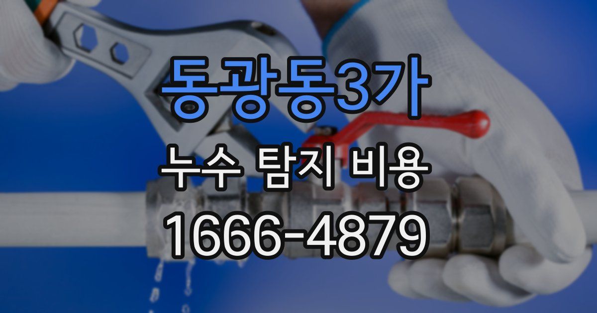 동광동3가 누수 탐지 비용
