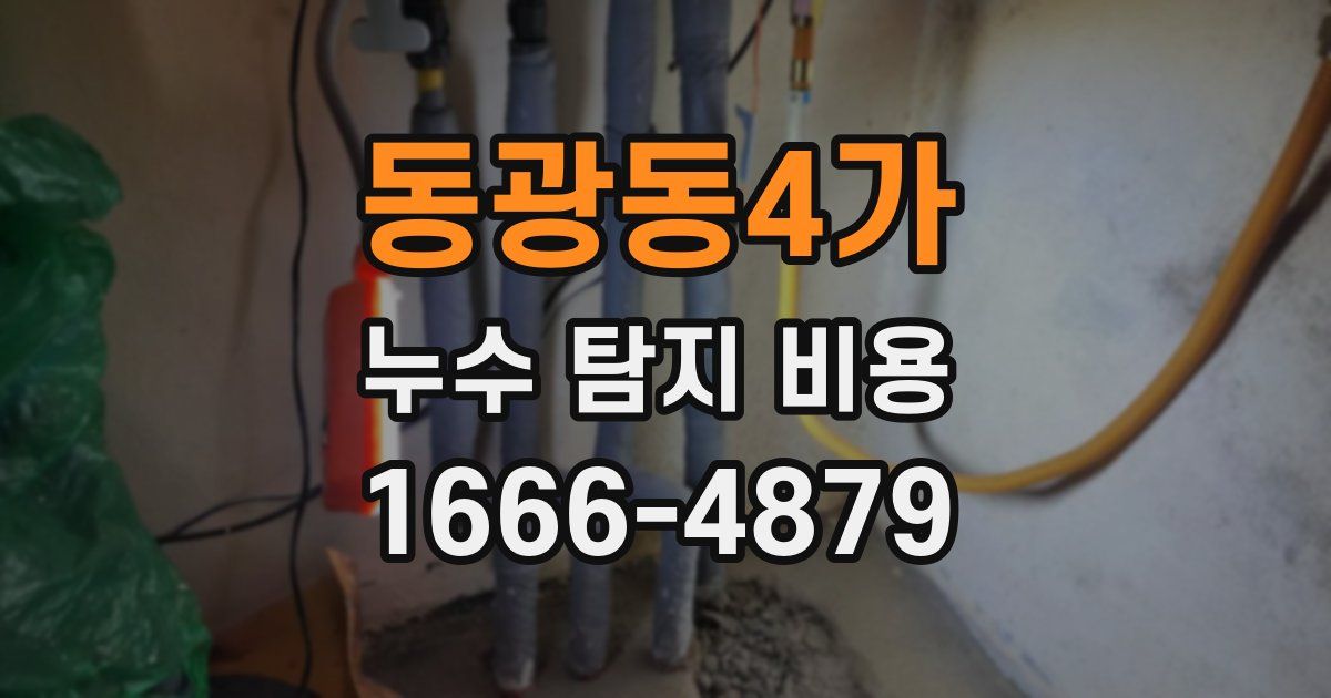 동광동4가 누수 탐지 비용