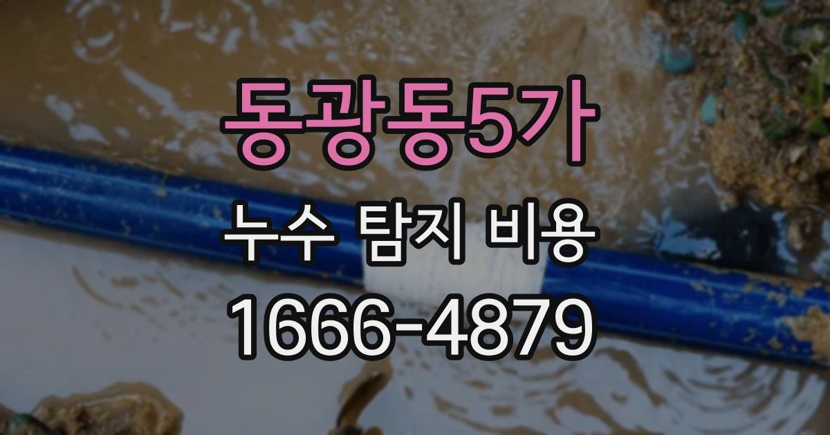 동광동5가 누수 탐지 비용