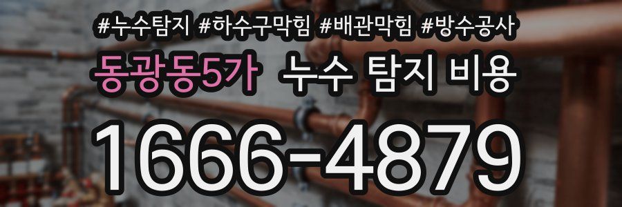 동광동5가 누수 탐지 비용
