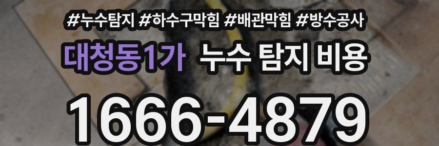 대청동1가 누수 탐지 비용