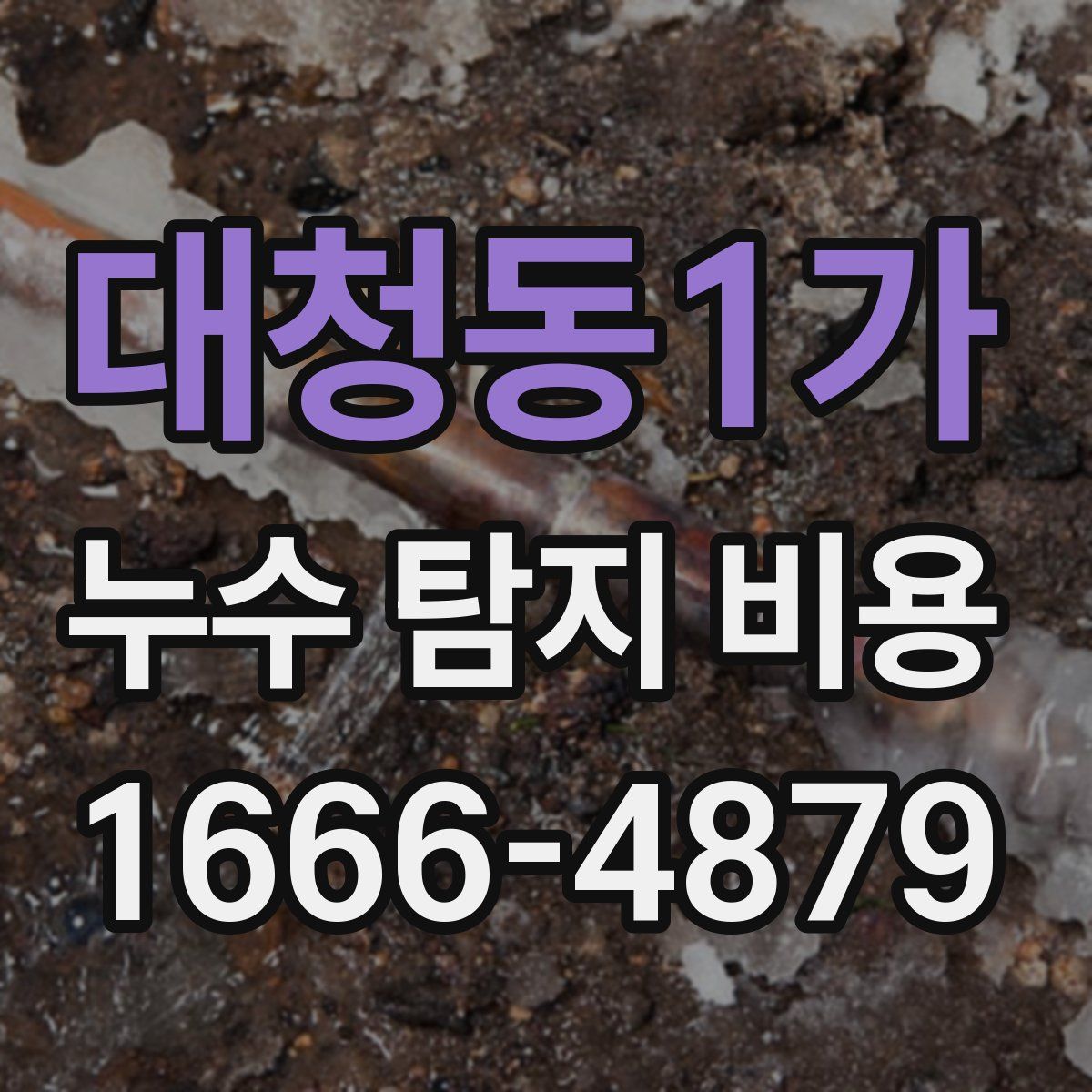 대청동1가 누수 탐지 비용