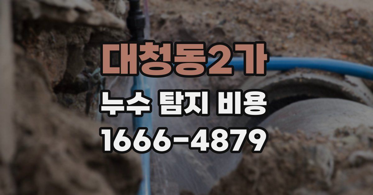 대청동2가 누수 탐지 비용