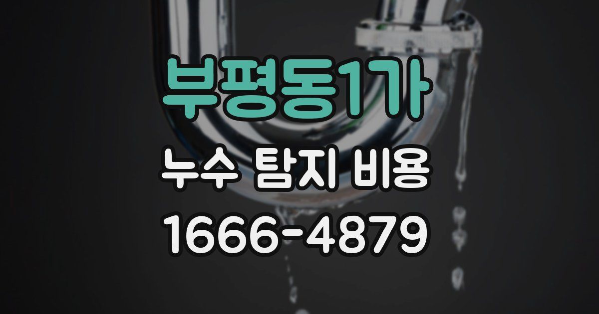 부평동1가 누수 탐지 비용