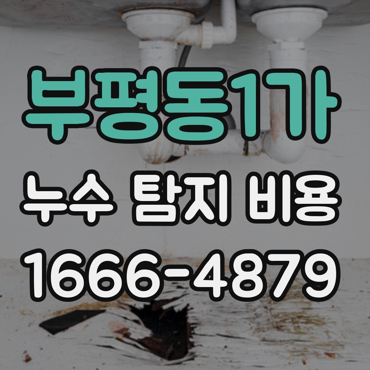 부평동1가 누수 탐지 비용
