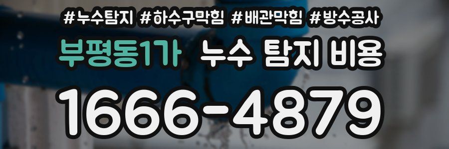 부평동1가 누수 탐지 비용