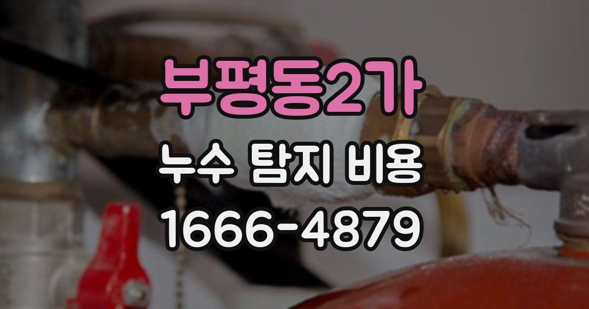 부평동2가 누수 탐지 비용