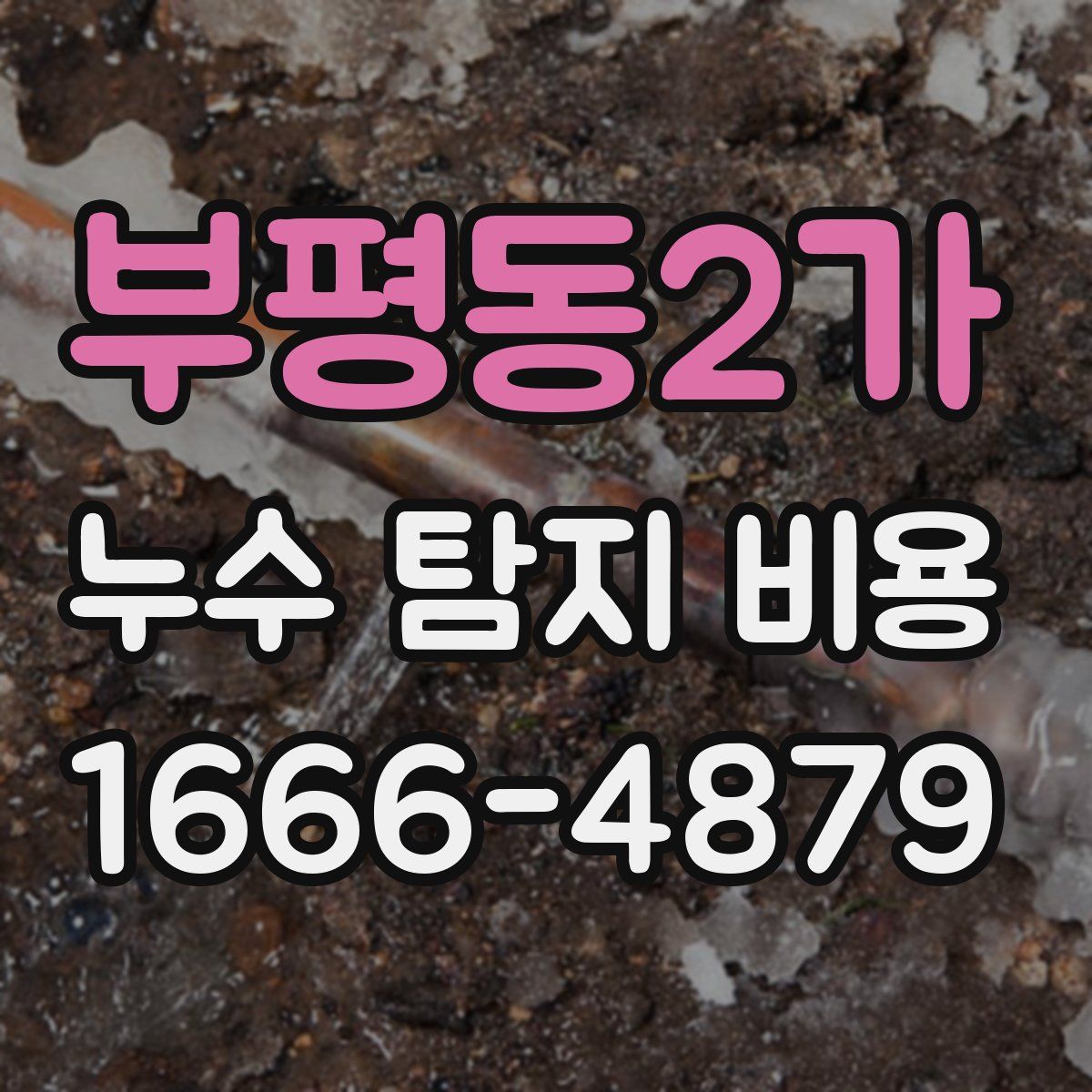 부평동2가 누수 탐지 비용