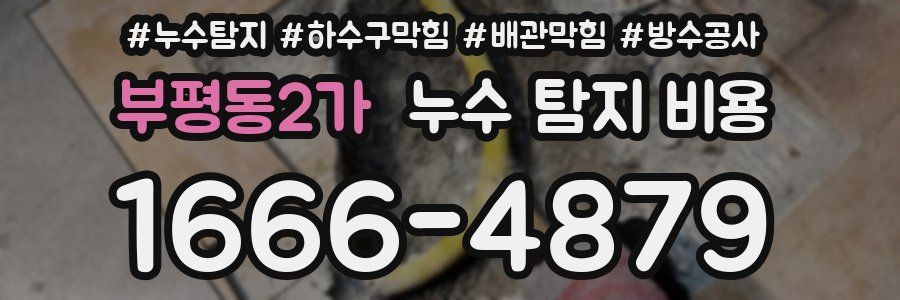 부평동2가 누수 탐지 비용
