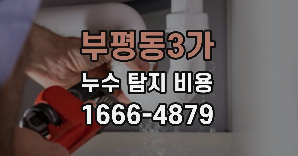 부평동3가 누수 탐지 비용