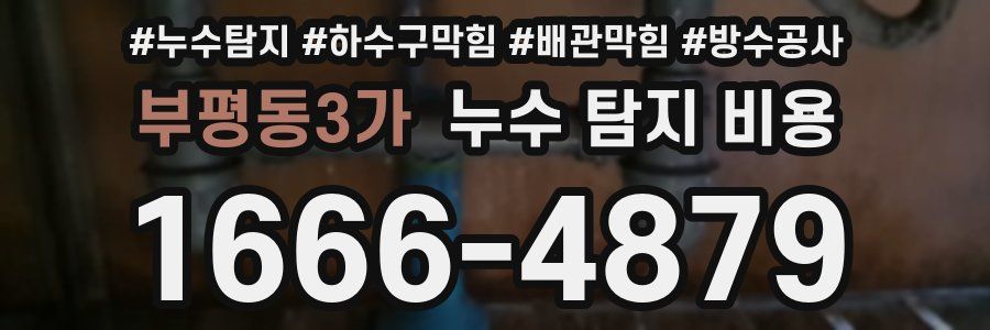 부평동3가 누수 탐지 비용
