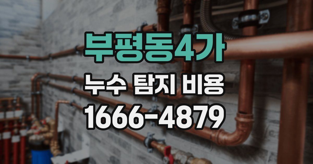 부평동4가 누수 탐지 비용