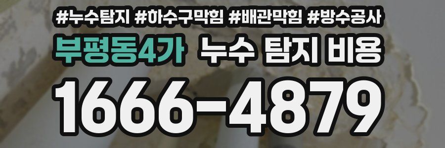 부평동4가 누수 탐지 비용