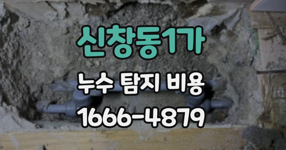 신창동1가 누수 탐지 비용