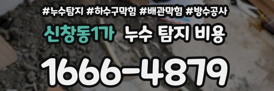 신창동1가 누수 탐지 비용