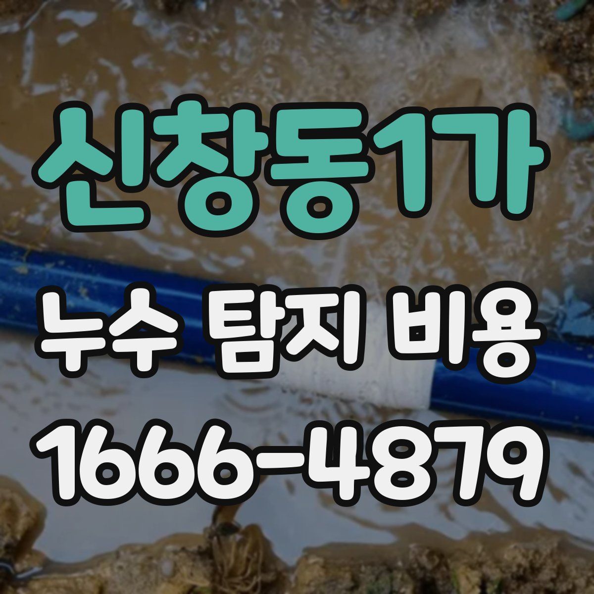신창동1가 누수 탐지 비용
