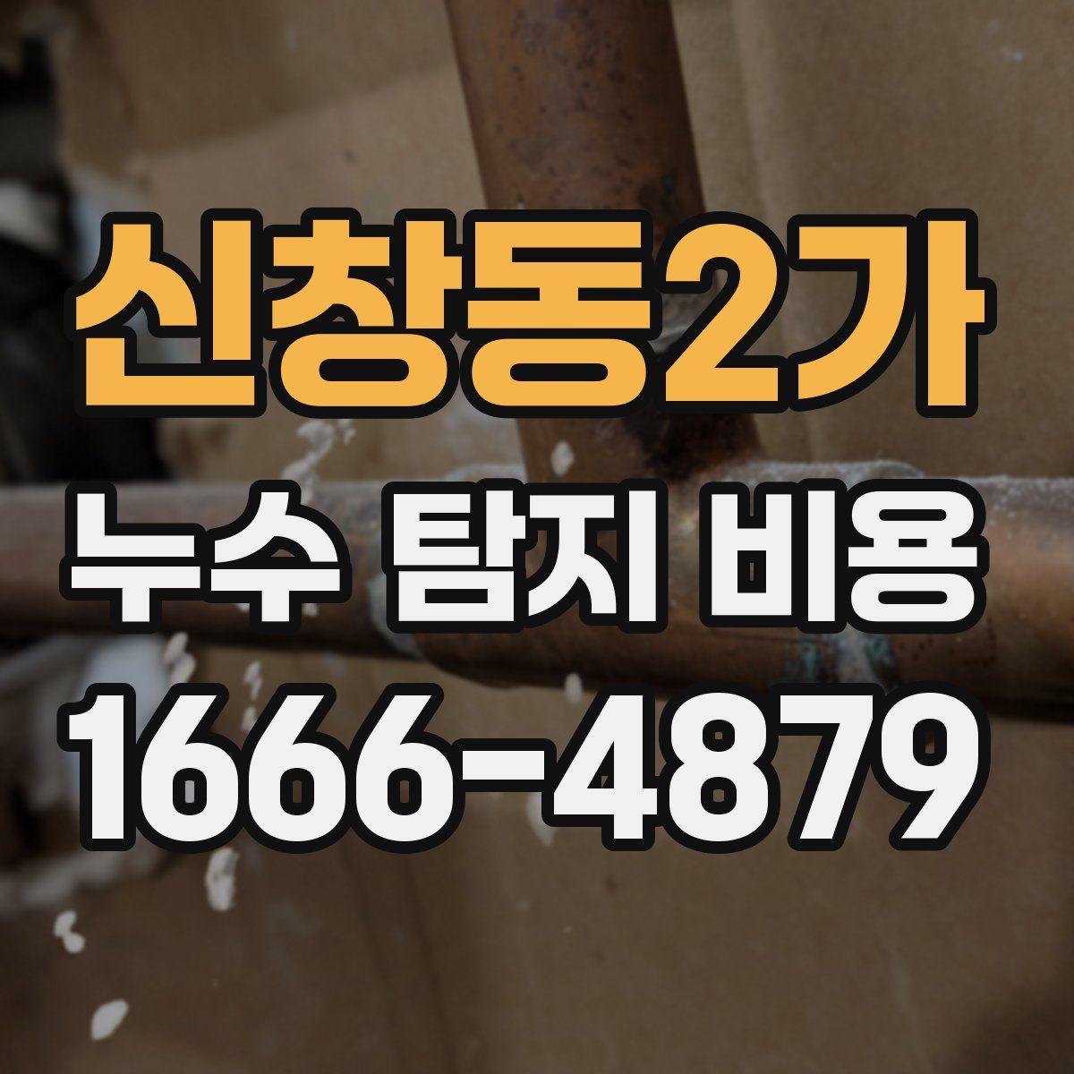 신창동2가 누수 탐지 비용