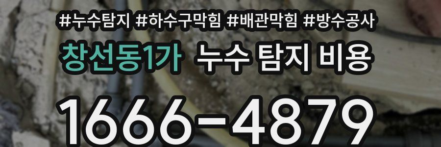 창선동1가 누수 탐지 비용