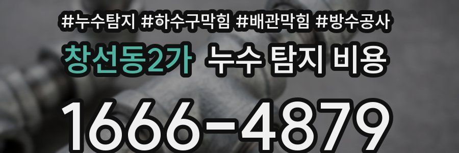 창선동2가 누수 탐지 비용