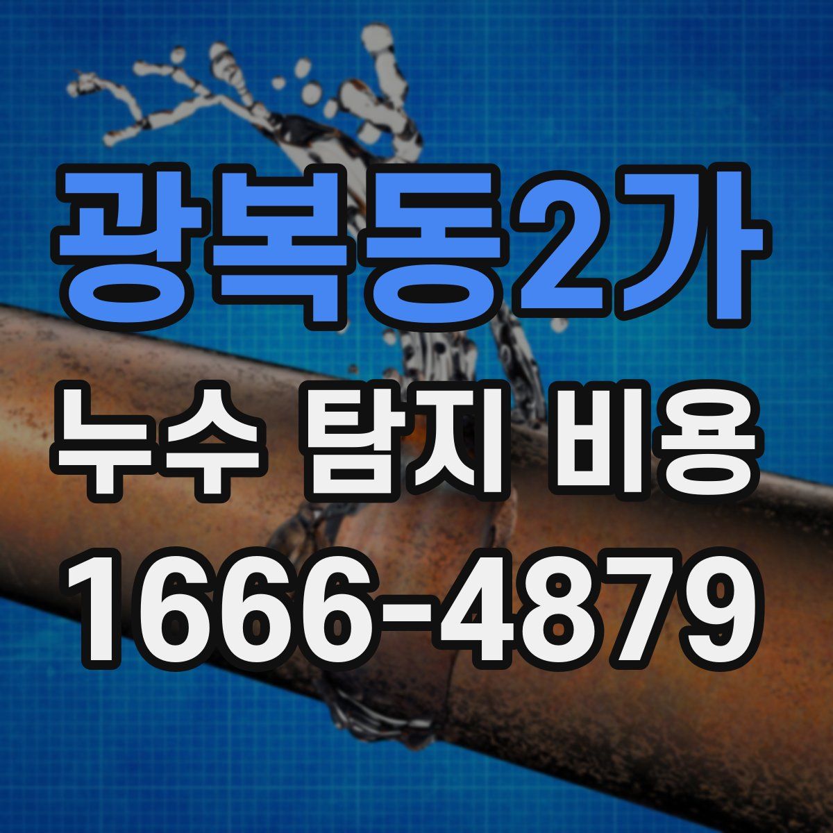 광복동2가 누수 탐지 비용