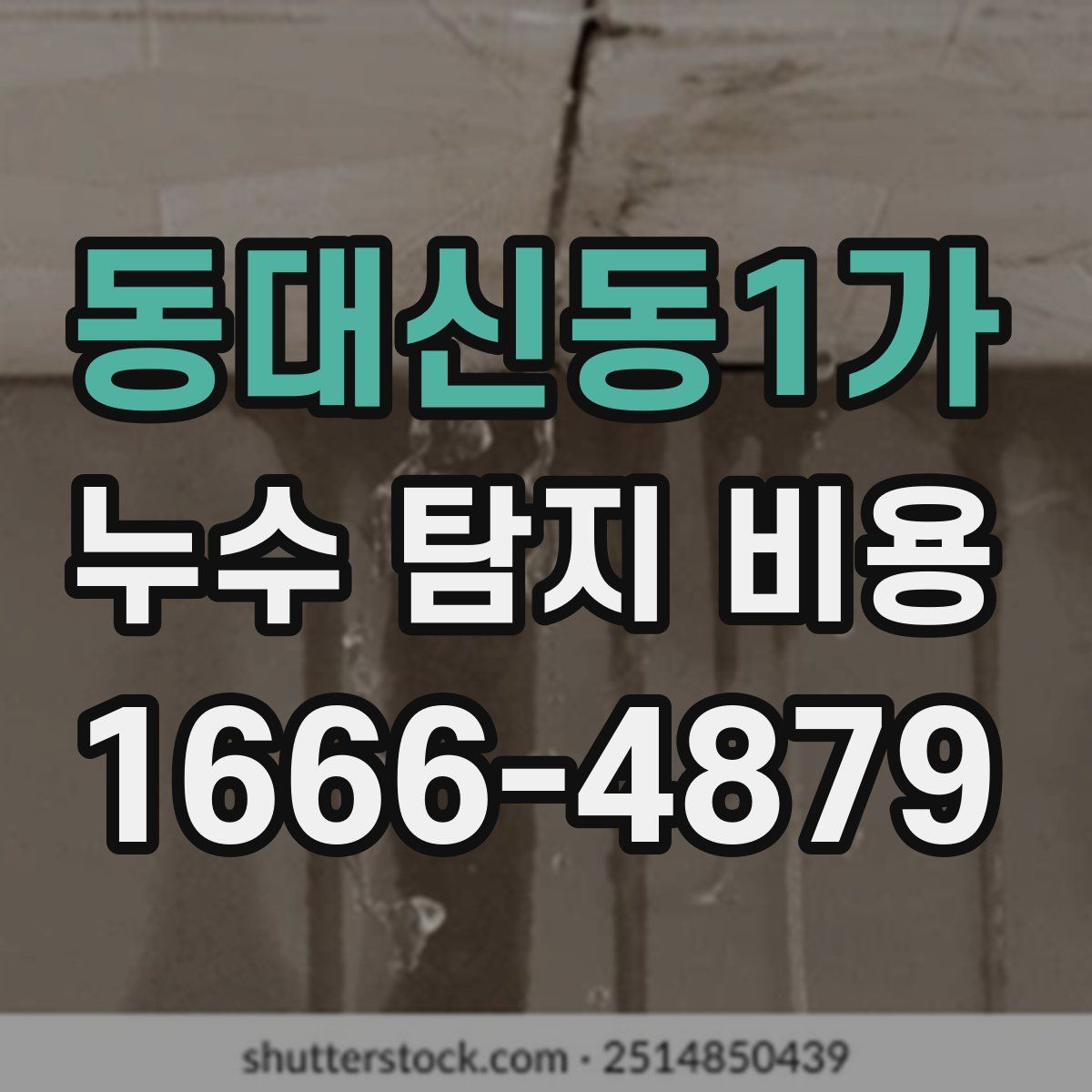동대신동1가 누수 탐지 비용