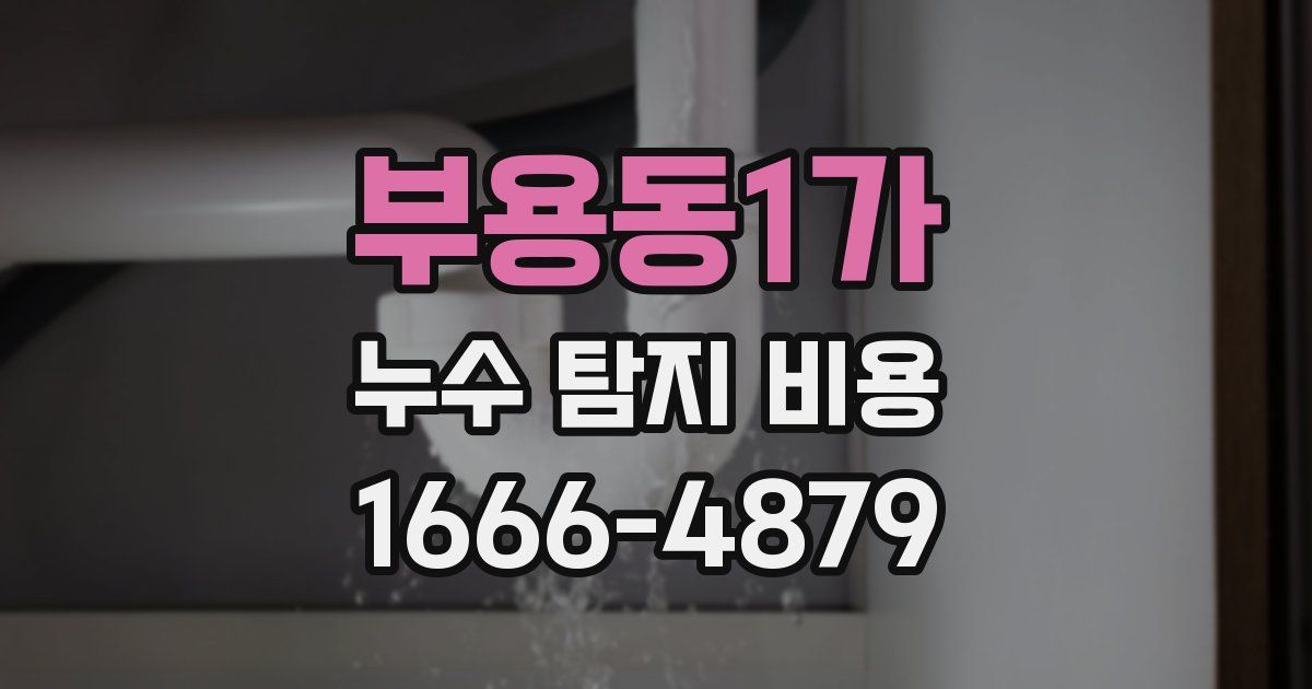 부용동1가 누수 탐지 비용