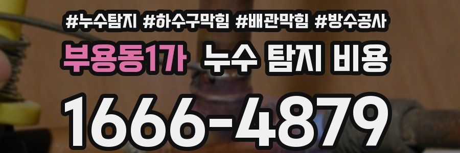 부용동1가 누수 탐지 비용