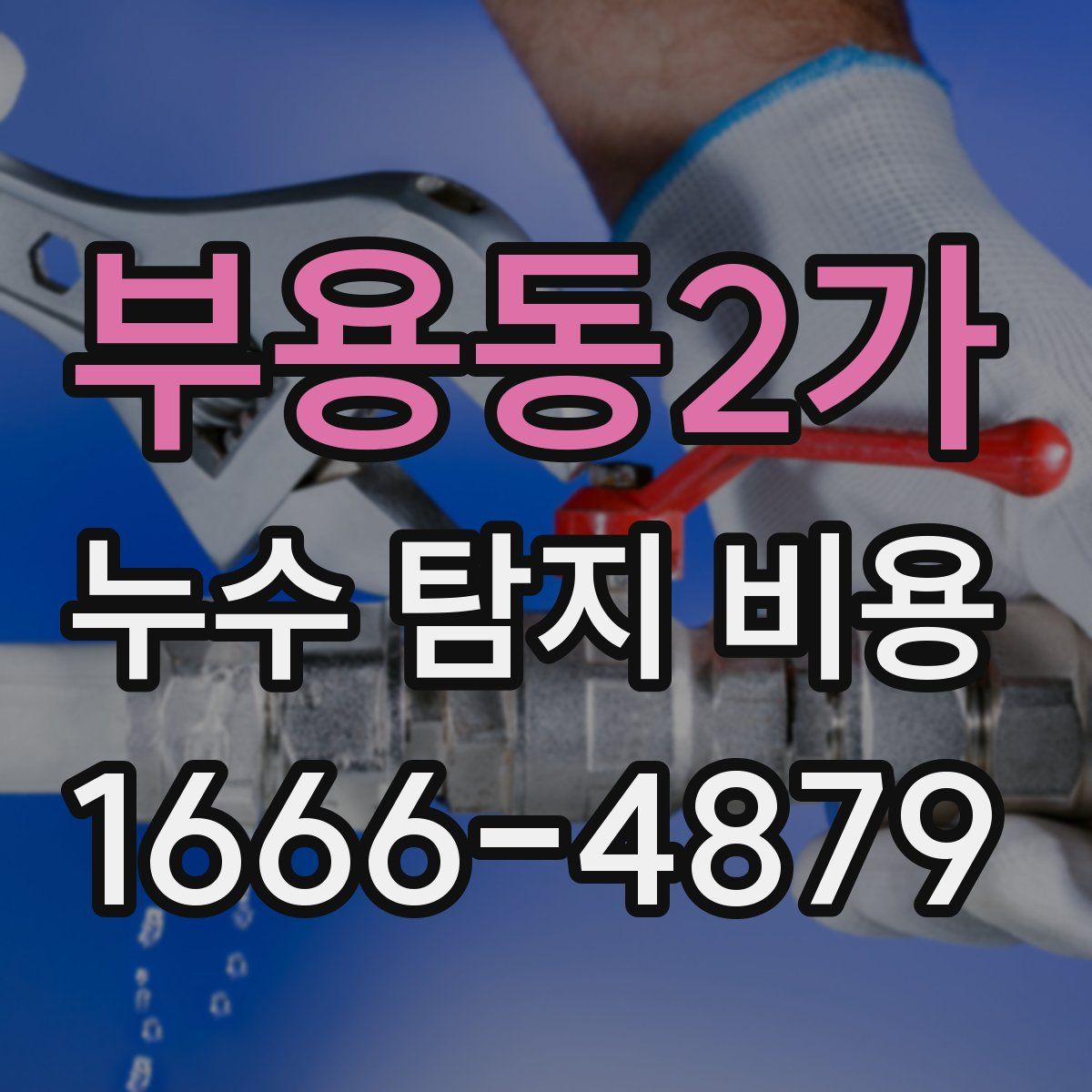 부용동2가 누수 탐지 비용