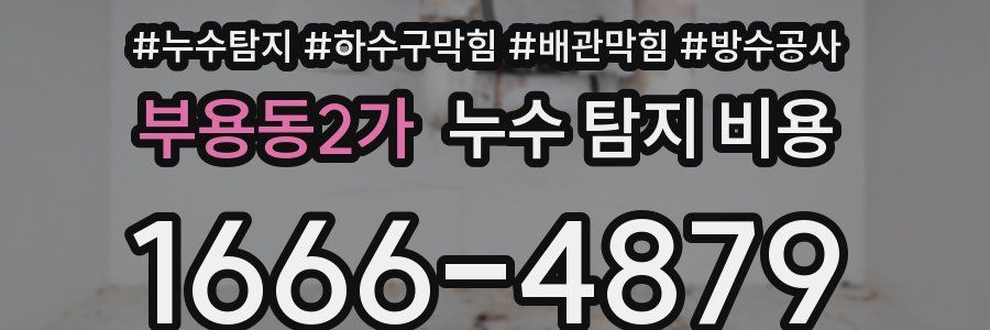 부용동2가 누수 탐지 비용