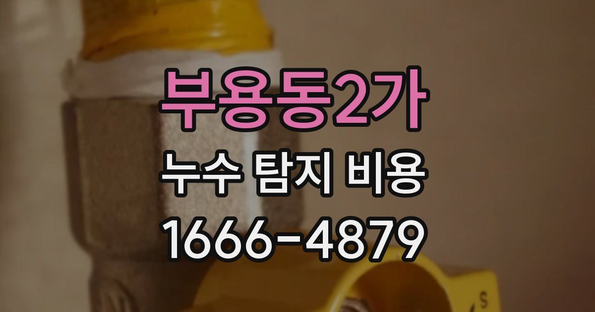 부용동2가 누수 탐지 비용