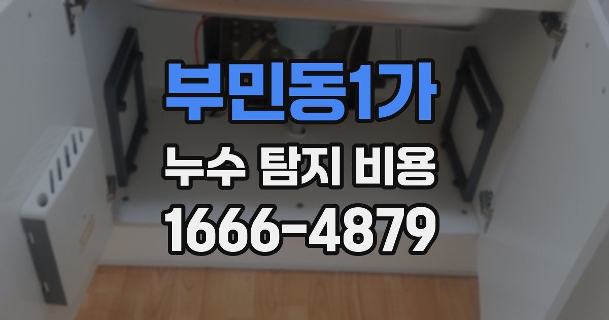 부민동1가 누수 탐지 비용