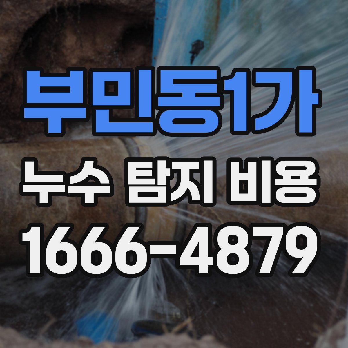부민동1가 누수 탐지 비용