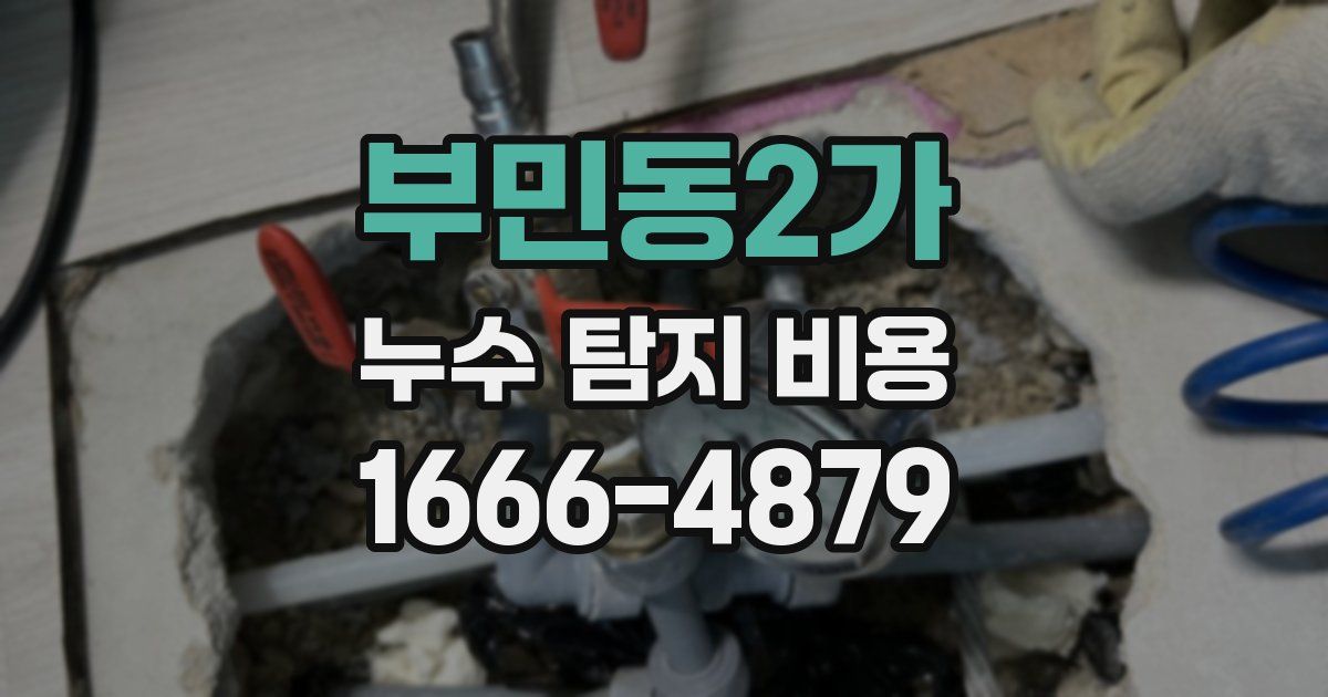 부민동2가 누수 탐지 비용